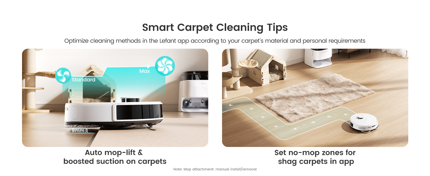 Care For Your Carpet